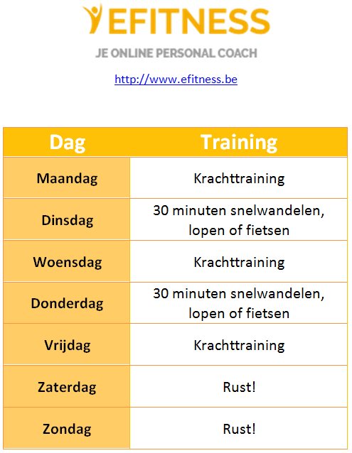 #1 Fitness schema voor vrouwen - Efitness