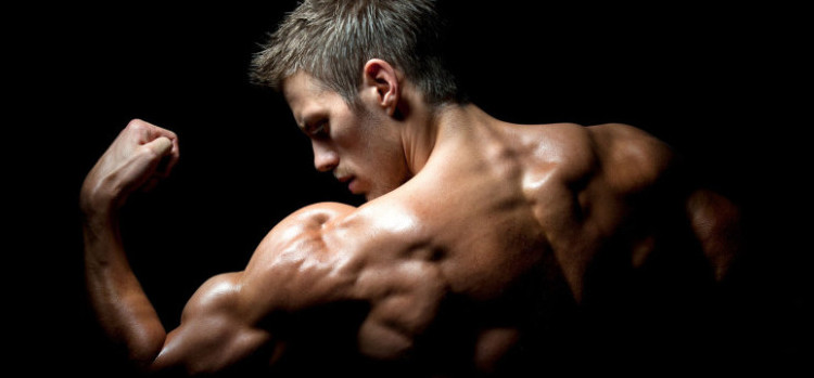 Armspieren trainen – de 6 beste oefeningen