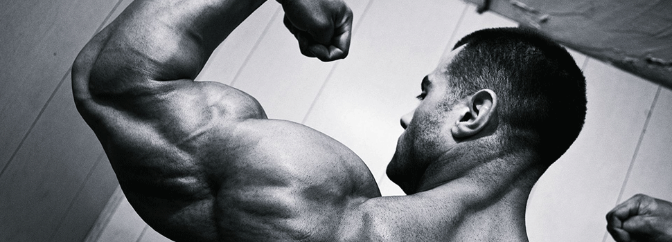 Je Biceps oefeningen thuis doen? Een Schema